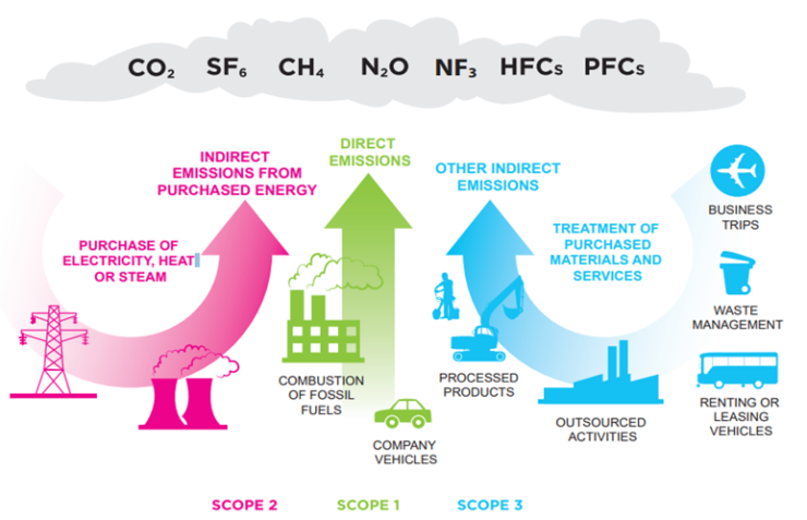 Carbon Calculations | Sustainables.eco